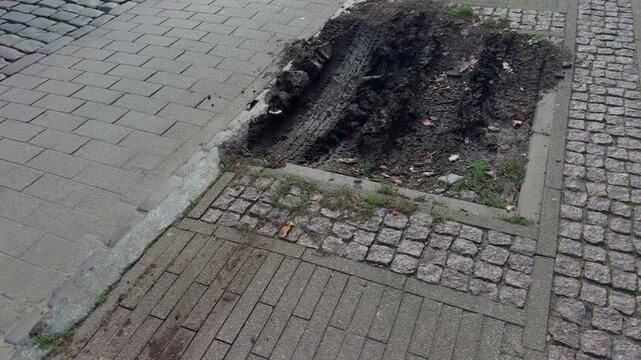 Mud tire tracks on damaged sidewalk beside paved street and cobblestone path in urban area