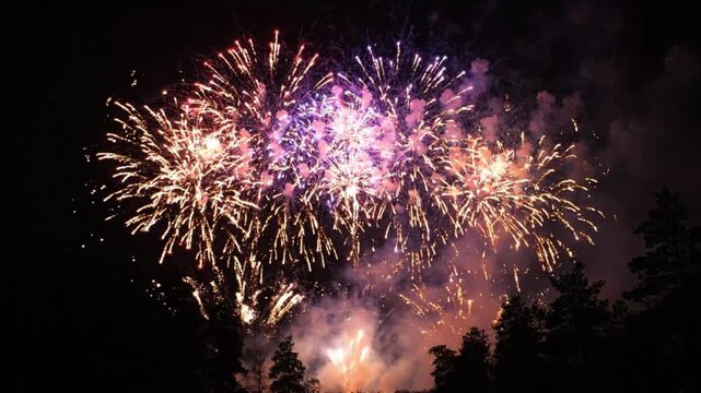Fireworks exploding in the dark night sky over silhouette trees