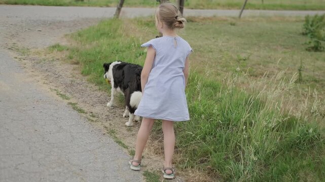 little girl with dog, black and white merle border collie dog outdoor fun, summer day, pet training, carefree childhood, nurturing aspect human animal relationships, Child happiness, happy emotion