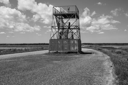 Galloway, New Jersey, USA - August 1, 2026: Wooden observation tower standing along a gravel road at Edwin B. Forsy the National Wildlife Refuge black and white