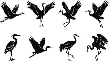 Obraz premium Set of black silhouette of cranes in various flight and standing poses on white background