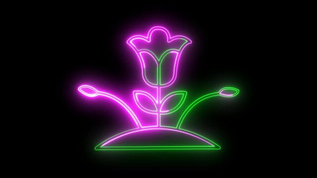 neon tulip animated icon. marijuana drug plant line icon animation .Liner black tree icon animation.