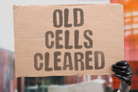"Old cells cleared" Eliminating worn-out cells rejuvenates tissue. CELLS. OLD. CLEARED. SENESCENCE. SCIENCE.