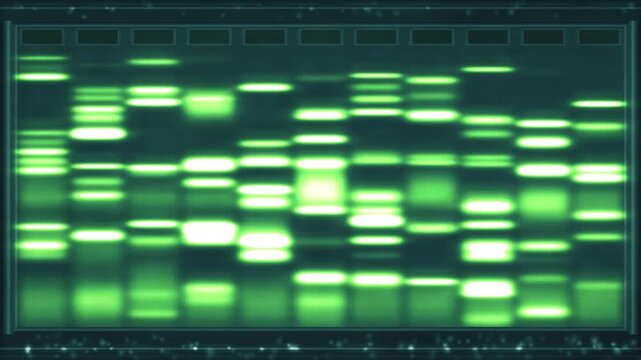 Gel electrophoresis lanes with DNA bands migrating and separating by size under blue transillumination in rich sybr tones