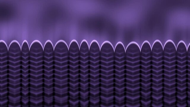Directional Solidification Front With Columnar Dendrites And Convecting Melt, Seamless Loop in vibrant violet tones