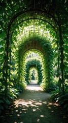 Fototapeta premium Green vine leaves cover metal garden archway creating shaded tunnel walkway. Foliage forms natural canopy over dirt path in summer park. Peaceful outdoor landscape with ornamental trellis provides