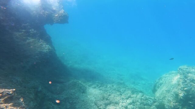 Explore underwater rock formations with marine life in clear blue waterin the Mediterranean.