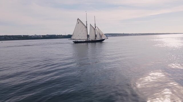 Aerial summer footage of the Bluenose II sailing ship cruising past downtown Halifax, Nova Scotia, with tourists on deck and large cruise liners standing in the harbour near the city skyline.