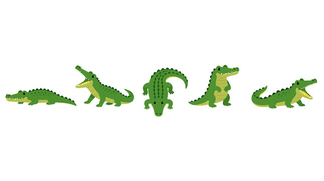 Cartoon crocodile vector set, cute green alligator illustrations in different poses, wild swamp reptile mascot collection for kids