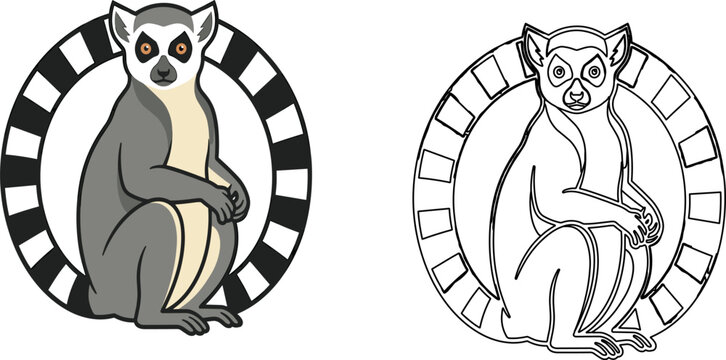 Lemur sitting gray white ringed tail circle dual version colored outline vector illustration isolated mammal primate animal Madagascar wildlife cute endangered