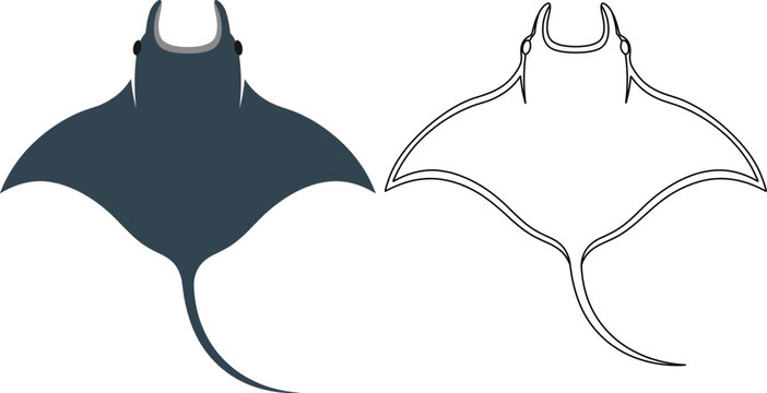 Manta ray top view dark blue dual version colored outline vector illustration isolated marine animal sea ocean manta stingray wildlife underwater