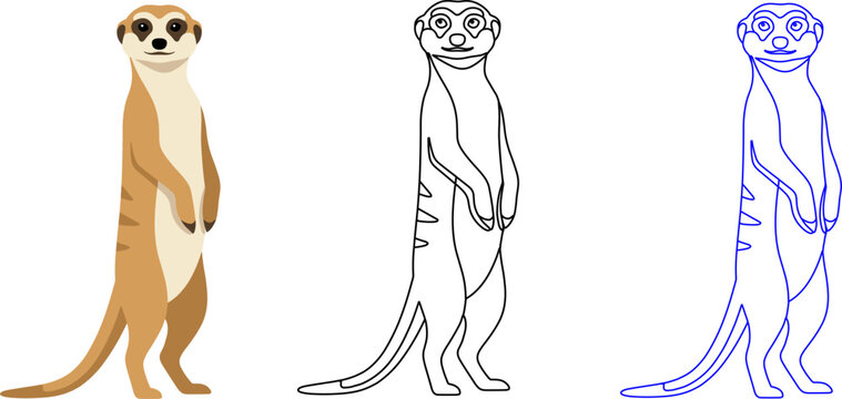Meerkat standing tan cream black triple version colored black blue outline vector illustration isolated mammal wildlife animal suricate desert cute upright