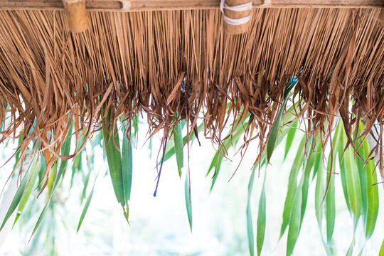 Close up of a traditional thatched roof made from dried reeds or straw