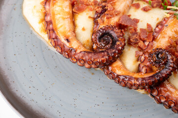 A succulent and delicious gourmet dish featuring three tentacles of cooked octopus, served with a creamy vegetable-infused potato purée. © mario