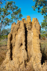 Cathedral Termite Mound in Kakadu National Park - Australia © Adwo