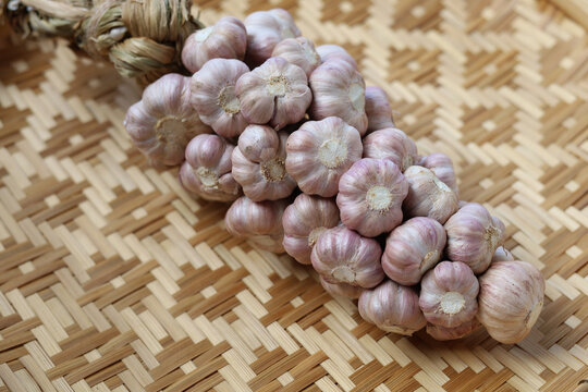 A bundle of fresh garlic bulbs