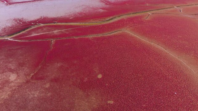 Aerial View of Red Mudflat with Cracked Patterns and Drainage Channels