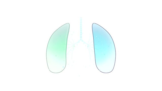 Human Lungs Breathing Medical Vector Animation