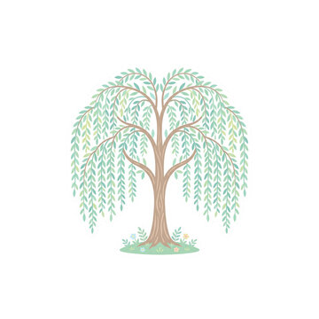 Stylized weeping willow tree vector illustration on white background
