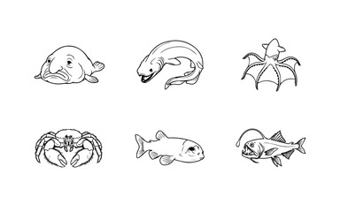 Obraz premium Deep Sea Creatures Line Art Collection