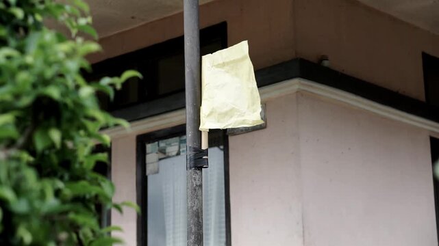 Yellow flag in the house 