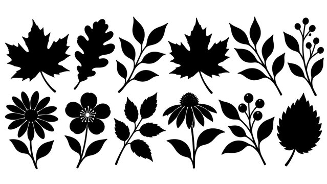 Autumn leaves and floral silhouettes black vector elements for fall projects
