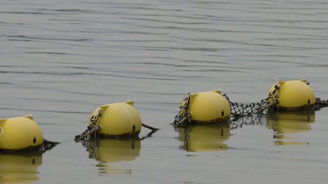 Yellow Marine Buoys Connected by Nets Floating on Calm Ocean Water