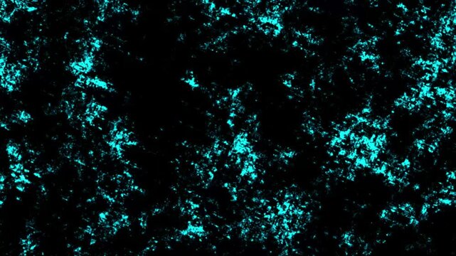 Abstract glowing fire embers and sparks floating on black background.