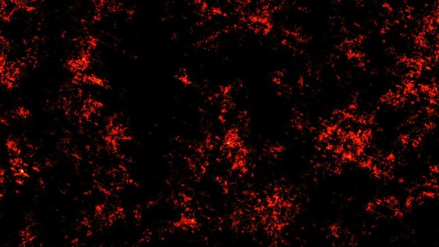 Abstract glowing fire embers and sparks floating on black background.