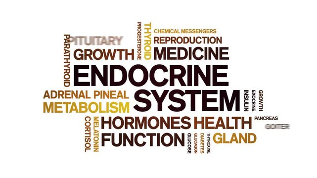 Endocrine System animated word cloud-animation tag kinetic typography seamless loop.