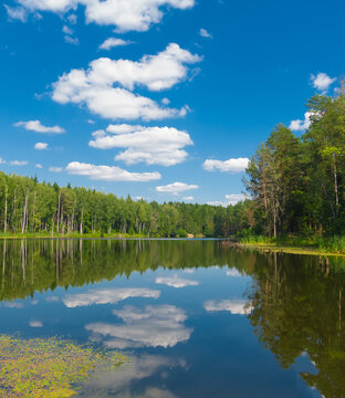 Forest surrounding calm blue lake and blue sky