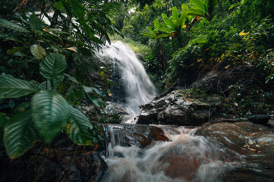 Beautiful cascading waterfall deep in a lush green tropical rainforest environment.