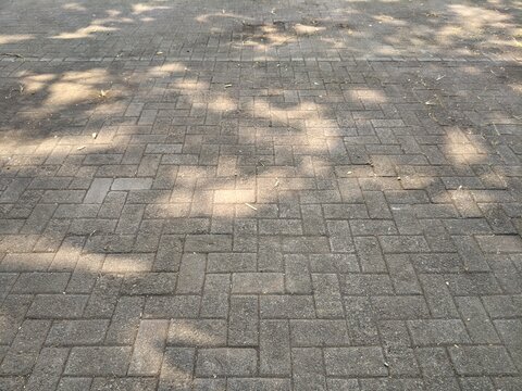 Wide surface of a grey paving block street largely covered by tree shadows under bright sunlight