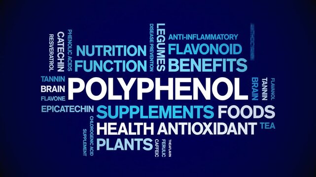 Polyphenol animated word cloud-animation tag kinetic typography seamless loop.