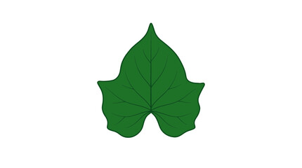 Fototapeta premium Illustration of a single green ivy leaf