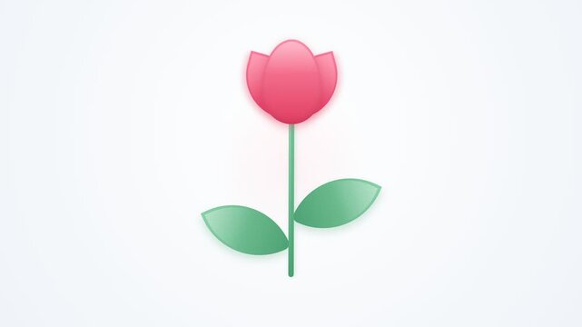 A single pink tulip with green leaves and stem on a light background.