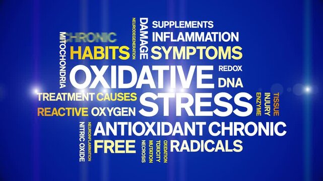 Oxidative Stress animated word cloud-animation tag kinetic typography seamless loop.