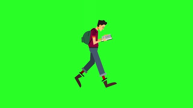 Cartoon Male Student Walking while Reading Book with Backpack Vector Character Isolated on Green Screen Chroma Key Background Asset   
