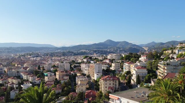 Aerial forward flight over palm tops past a fruiting date palm, revealing hillside villas, red roofs and mountains, Nice, French Riviera, Cote d Azur, France