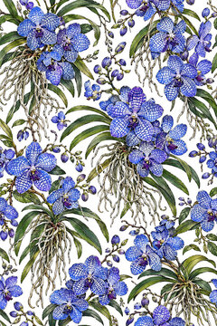 Blue Vanda Orchid Hand-Drawn Botanical Doodle Pattern
