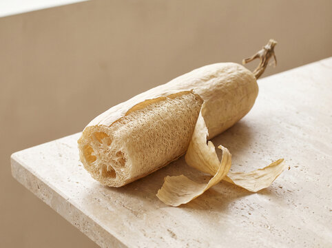 Partly peeled dried loofah gourd revealing natural sponge fibers