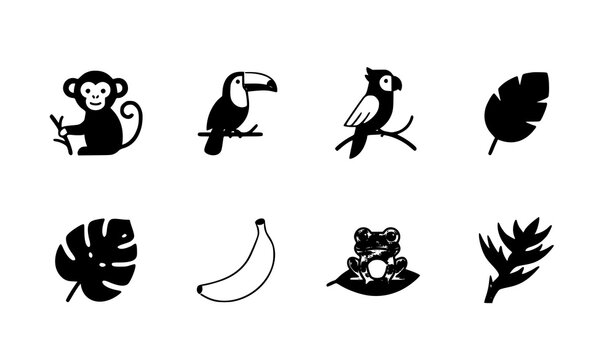 tropical, jungle, rainforest, icon, set, monkey, toucan, parrot, bird, leaf, palm, monstera, banana, frog, heliconia, flower, exotic, nature, wildlife, animal, plant, foliage, zoo, safari, silhouette,