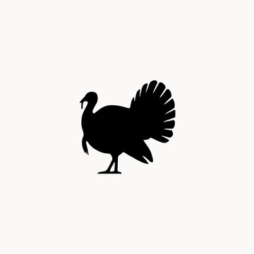 vector illustration of a turkey