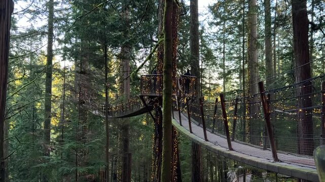 Treetop walkways and platforms wrapped in Christmas lights at Capilano Suspension Bridge Park in Vancouver, wooden paths through a tall forest at dusk.