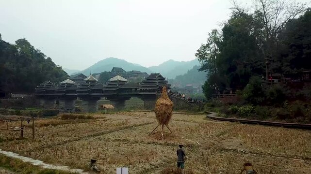 Traditional Covered Bridge and Farmer Plowing in Misty Chinese Village, Guizhou in Guizhou, China