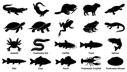 Obraz premium Various Freshwater Fish and Aquatic Animals Silhouette Set Featuring Vector