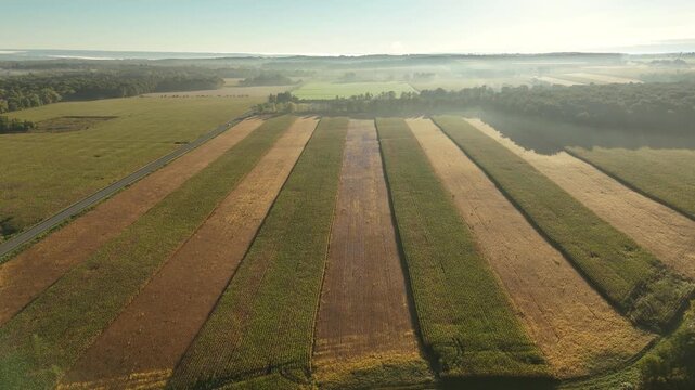 Pushing drone shot of a crop field in Upstate New York near Ithaca and Trumansburg in the Finger Lakes region.