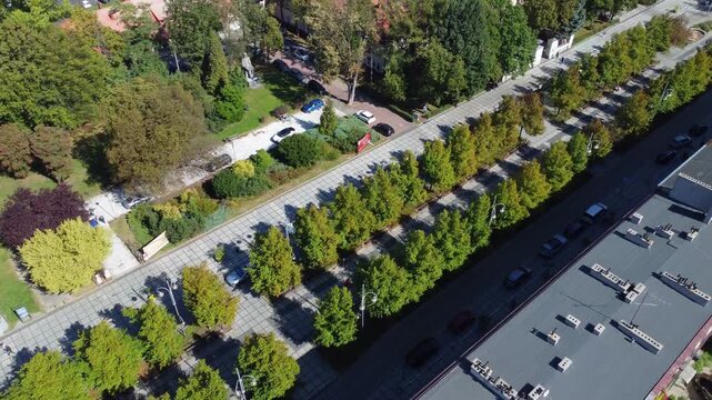 Drone view of a green tree lined section of Aleje Najswietszej Maryi Panny in central Czestochowa