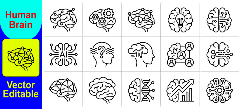 Set of human brain icons featuring various concepts like intelligence artificial intelligence mental health cognitive function and creative thinking line art style