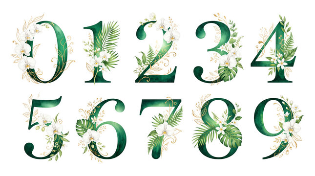Watercolor emerald green numbers decorated with white orchids and gold leaves isolated on black background